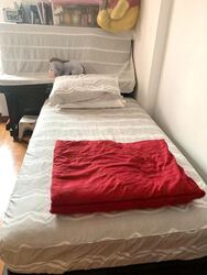 The Mayfair (D22), Condominium #455744051
